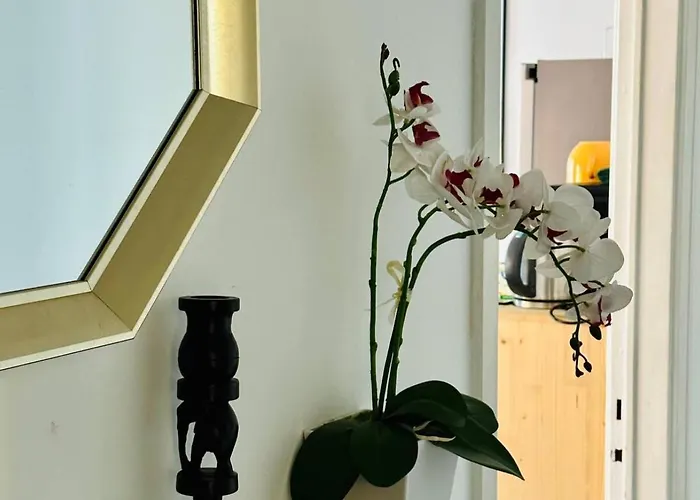 Апартаменты Self-check In Sunny & Charming Коимбра