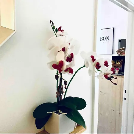 Self-check In Sunny & Charming *